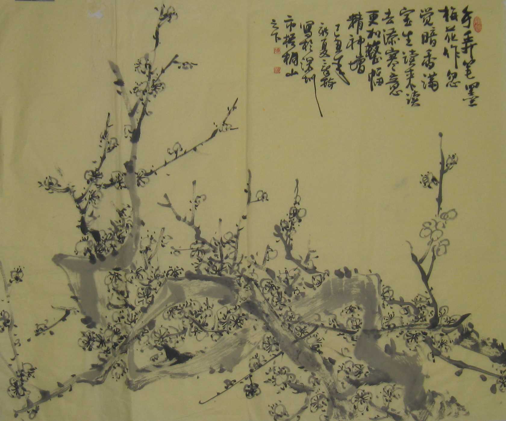 ��������Ʒ